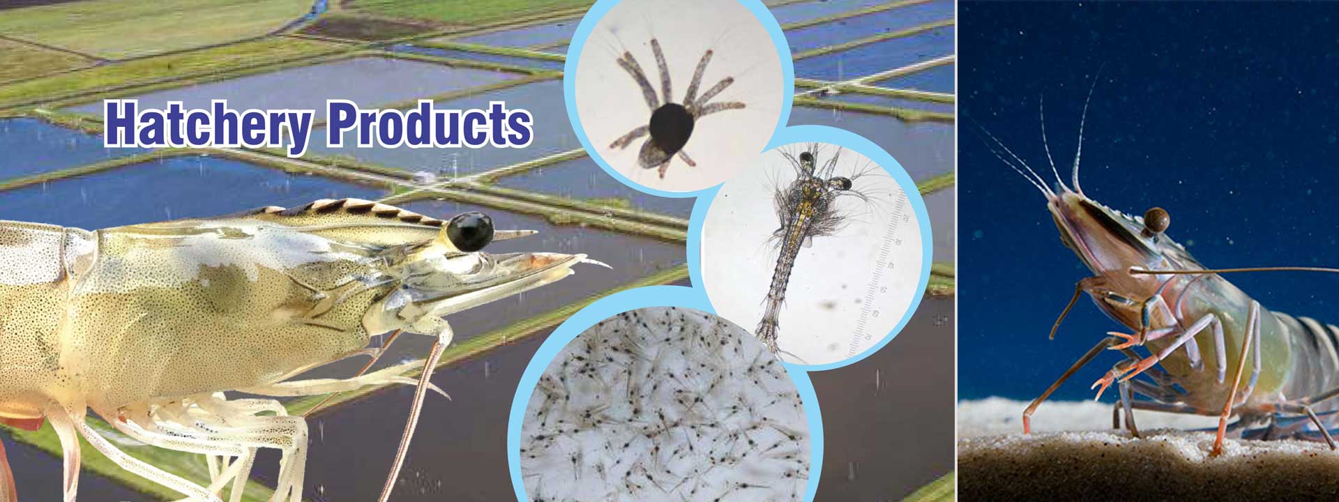 best catering service